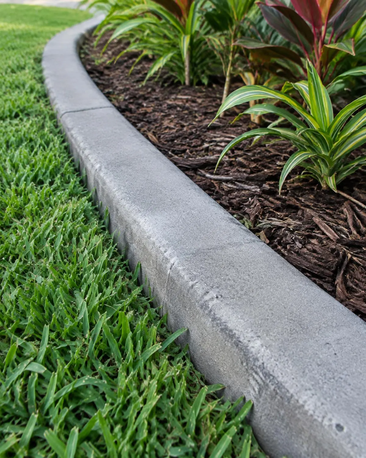 Close view of a gray concrete curb edge between thick lawn grass and a mulched bed